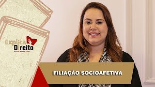 Explica Direito Filiação Socioafetiva  2019 [upl. by Varien]