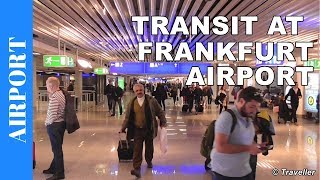 TRANSIT WALK AT FRANKFURT Airport FRA Terminal 1  Connection Flight Transfer Arriving amp Departing [upl. by Azal]